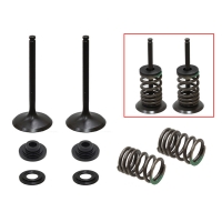 PSYCHIC ZESTAW ZAWORÓW SSĄCYCH (ZAWORY, SPRĘZYNY, PODKŁADKI) SUZUKI RMZ 450 '07,RMZ450