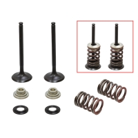 PSYCHIC ZESTAW ZAWORÓW WYDECHOWYCH (ZAWORY, SPRĘZYNY, PODKŁADKI) SUZUKI RM-Z 450 '07,RMZ 450,RMZ450