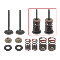 PSYCHIC ZESTAW ZAWORÓW WYDECHOWYCH (ZAWORY, SPRĘZYNY, PODKŁADKI) KAWASAKI KX 450 F (KXF 450) '06-'08