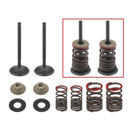 PSYCHIC ZESTAW ZAWORÓW WYDECHOWYCH (ZAWORY, SPRĘZYNY, PODKŁADKI) KAWASAKI KX 450 F (KXF 450) '06-'08