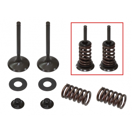 PSYCHIC ZESTAW ZAWORÓW WYDECHOWYCH (ZAWORY, SPRĘZYNY, PODKŁADKI) KAWASAKI KX 450 F (KXF 450) '09-'15