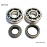 BEARING WORX ŁOŻYSKA WAŁU KORBOWEGO Z USZCZELNIACZAMI YAMAHA YZ 125 86-00 (NTN) (MADE IN JAPAN), 24-1024