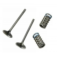 WOSSNER ZAWORY WYDECHOWE (KOMPLET 2 SZT. ZAWORÓW ZE SPRĘŻYNAMI) HONDA CRF 250 R '04-'07, CRF 250 X '04-'17 (STALOWE)