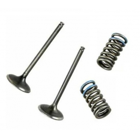 WOSSNER ZAWORY WYDECHOWE (KOMPLET 2 SZT. ZAWORÓW ZE SPRĘŻYNAMI) HONDA CRF 250 R '04-'07, CRF 250 X '04-'17 (STALOWE)