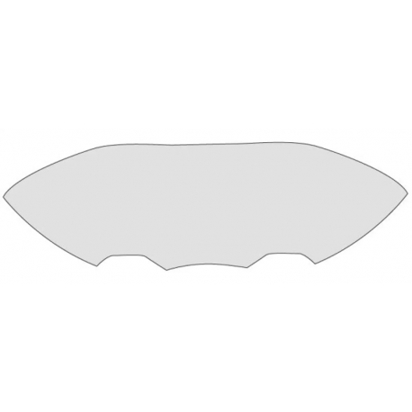 FOLIA OCHRONNA RG RACING EAZI-GRIP HONDA PCX 125 21-