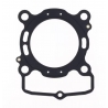 ATHENA USZCZELKA POD CYLINDER TRIUMPH TF 250 - C '26, TF 250 - C '25, TF 250 - X '24-'26 (OEM: T1150498)